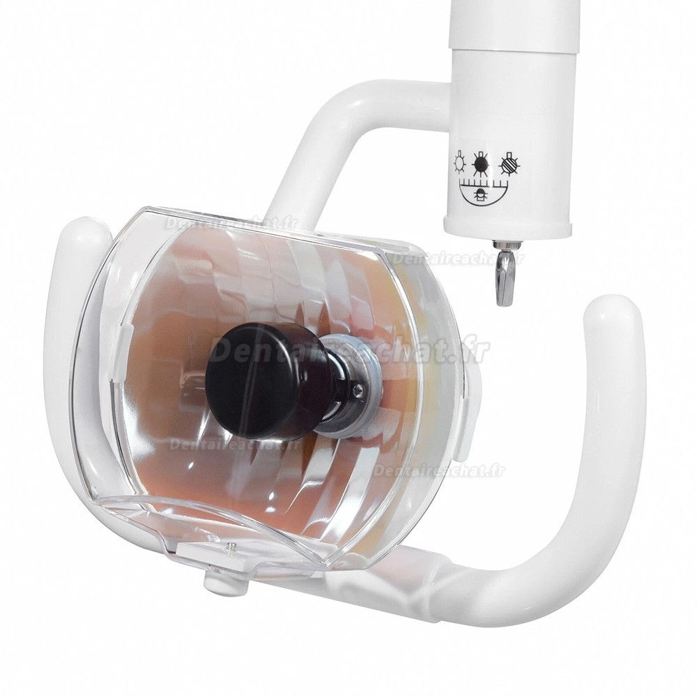 Lampe buccale &agrave; lumi&egrave;re froide murale dentaire 50 W, lampe d'examen dentaire